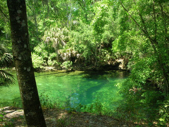 Blue Spring State Park